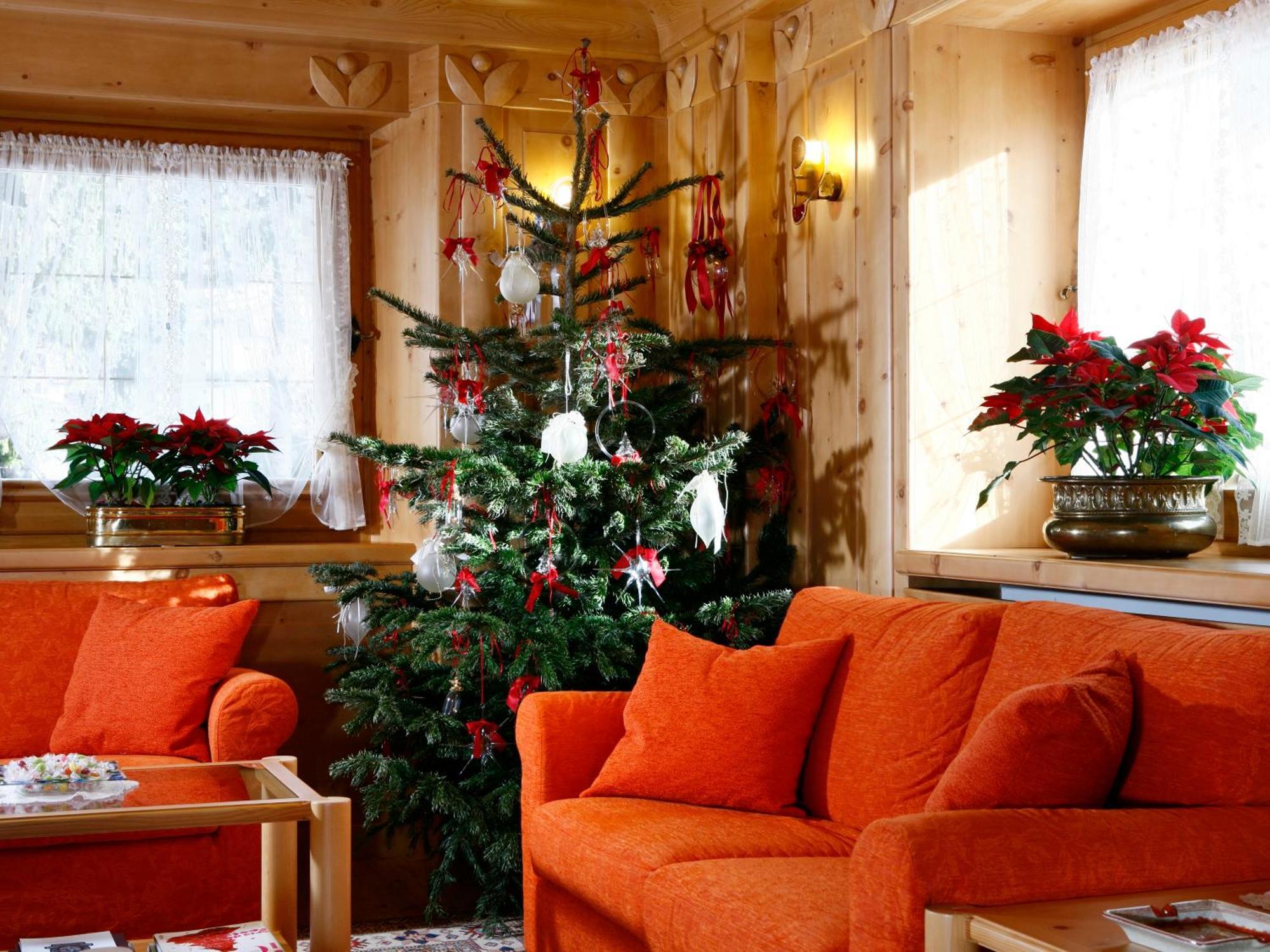 Hotel Natale กอร์ตินาดัมเปซโซ ภายนอก รูปภาพ